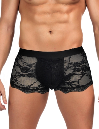 Black Sexy Lace See Through Men Underwear